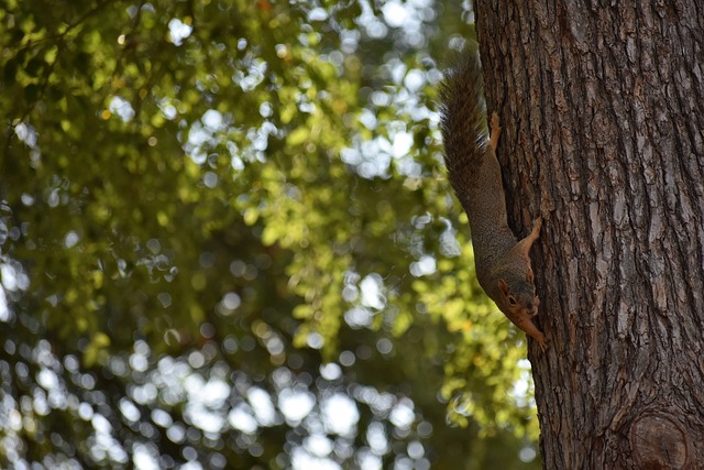 中的表现仍 中的表现仍