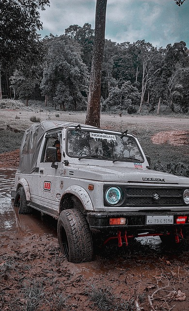 继科的隐婚 继科的隐婚