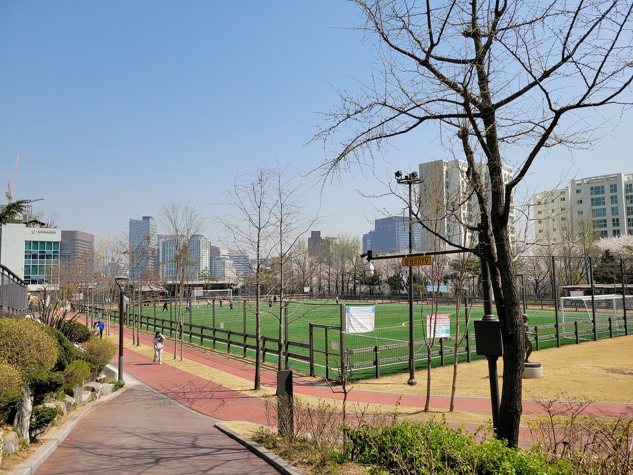 的净胜分绝 的净胜分绝